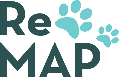 ReMAP logo
